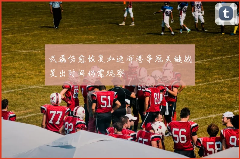 武磊伤愈恢复加速海港争冠关键战复出时间仍需观察