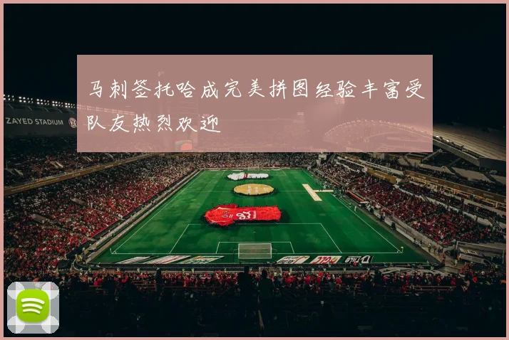 马刺签托哈成完美拼图经验丰富受队友热烈欢迎