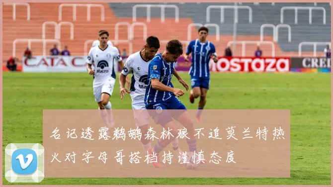 名记透露鹈鹕森林狼不追莫兰特热火对字母哥搭档持谨慎态度